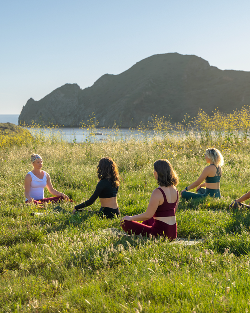 Four women sitting on a grassy field with a scenic background of mountains and water.